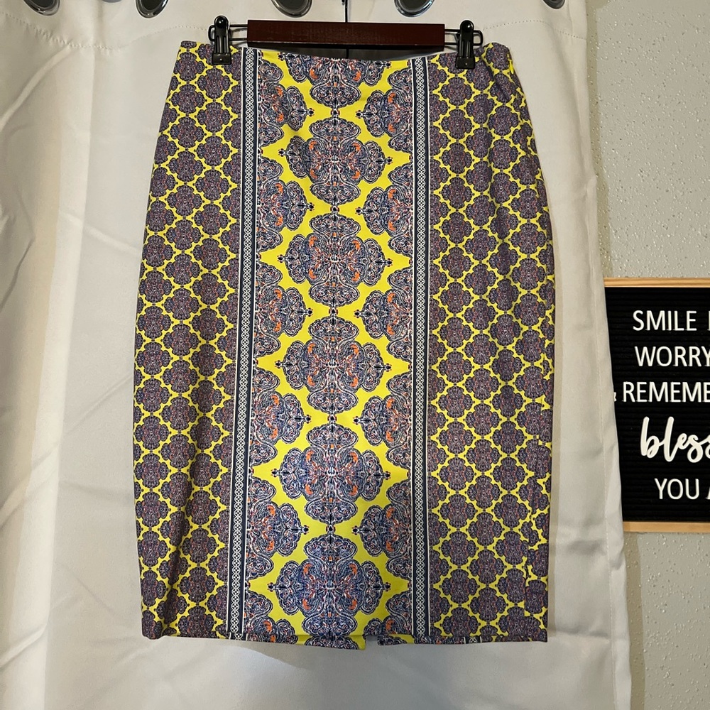 The Limited Skirt